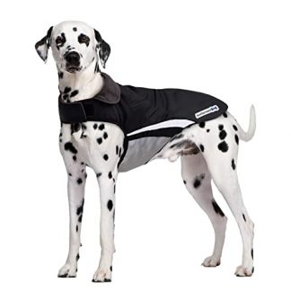 Buddypuppy Waterproof Dog Coat, Dog Rain Coat with Harness Hole & Reflective Stripes, Windproof Warm Winter Dog Jacket for Medium Large Dog (L)