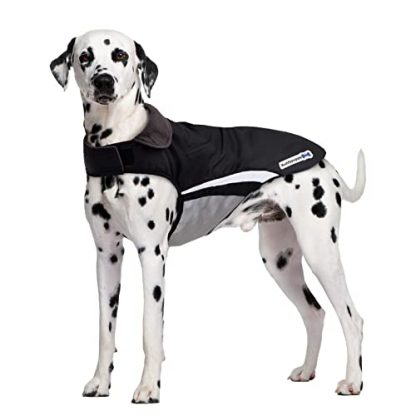 Buddypuppy Waterproof Dog Coat, Dog Rain Coat with Harness Hole & Reflective Stripes, Windproof Warm Winter Dog Jacket for Medium Large Dog (L)