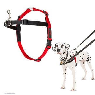 HALTI Front Control Harness, Size Medium, Professional Dog Harness to Stop Pulling on the Lead, Easy to Use, Anti-Pull Training Aid, Front Leading No Pull Harness for Medium Dogs