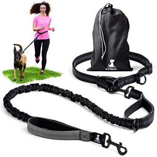SparklyPets Hands Free Dog Lead for Medium and Large Dogs – Professional Dog Running Lead with Reflective Stripes – Waist Dog Lead for Walking, Training, or Jogging (Gray, For 1 Dog)